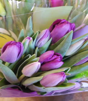 Purple Tulip Bouquet from Freskiew Farms